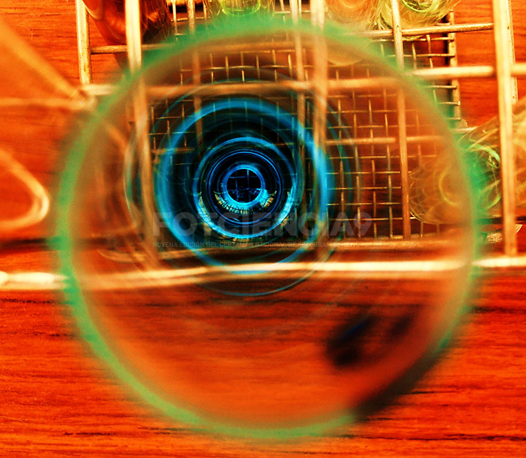 imagen fotciencia