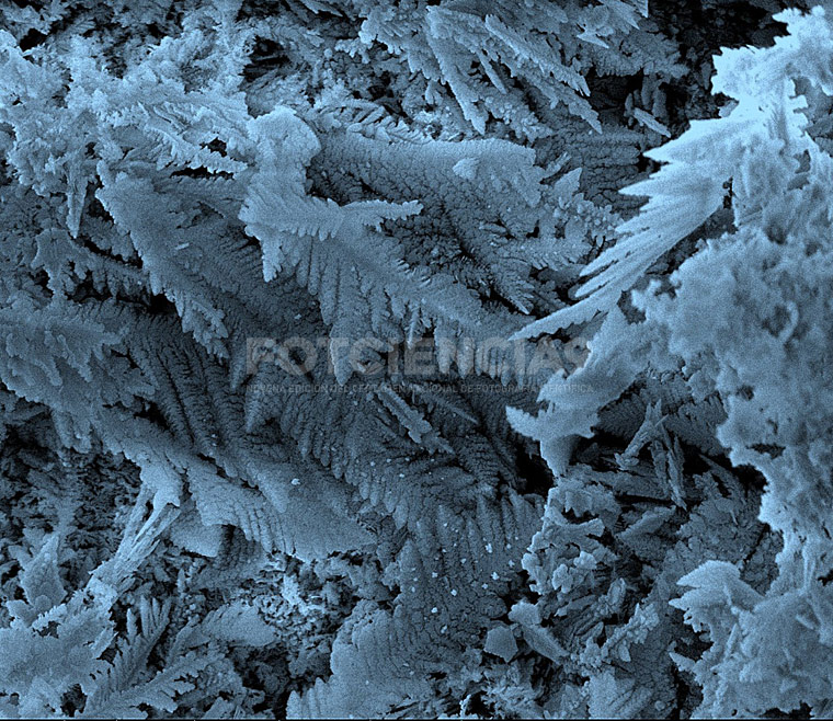 imagen fotciencia