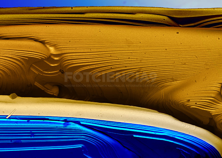 imagen fotciencia